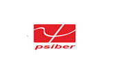 Psiber Data Systems